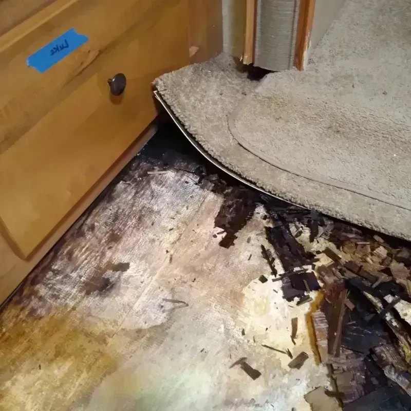 Best Wood Floor Water Damage Service in Avalon, NJ